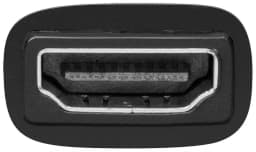 Adaptor HDMI 19 pini mama la DVI-D 24+1 pini tata Goobay 2