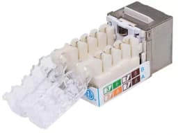 Conector Keystone CAT6a Intellinet RJ45 mama 3
