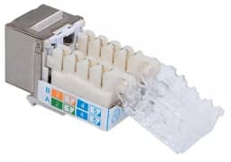 Conector Keystone CAT6a Intellinet RJ45 mama 2