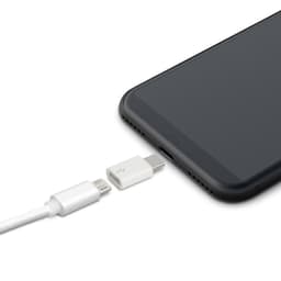 Adaptor USB Type C tata la Micro USB mama alb delight 2