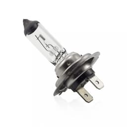 Bec halogen H7 12V 55W +30% intensitate CARGUARD BHA054 2