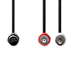 Cablu audio DIN 5pini tata - 2x RCA tata 1m Nedis CAGL20200BK10 2